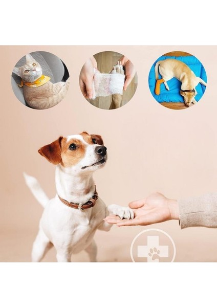 Kedi Köpek Ilk Yardım Seti Pet Ecza Çanta Acil Tıbbi Tedavi Müdahale Yürüyüş Tatil Kamp Çantası fırsatları