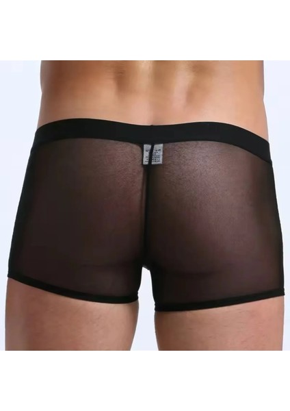 Mulvxbrf BRF02 Transparan Tül Erkek Boxer Tanga (Mulvix) fiyatları