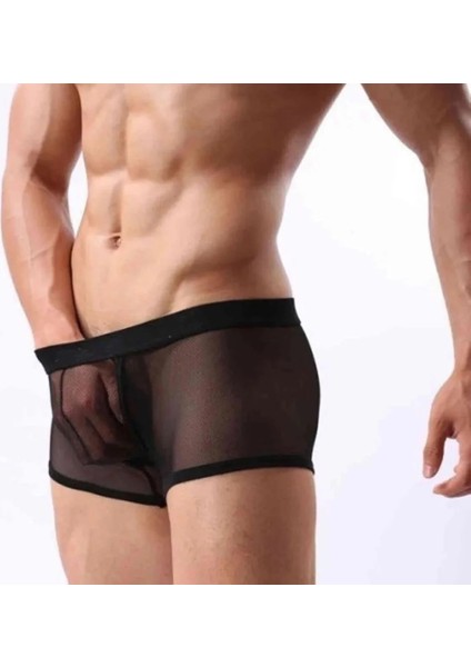 Mulvxbrf BRF02 Transparan Tül Erkek Boxer Tanga (Mulvix) modelleri