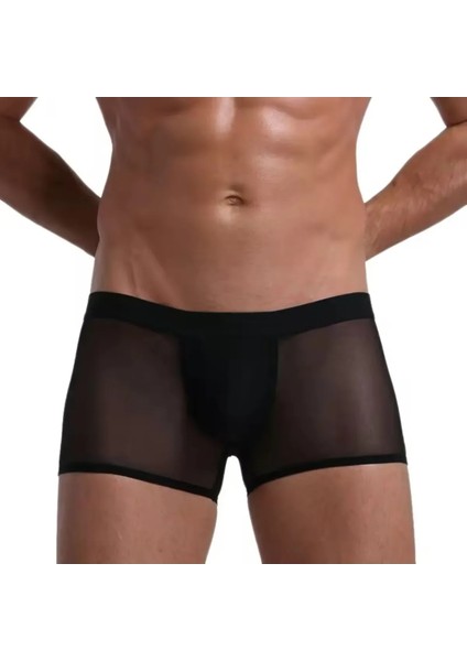 Mulvxbrf BRF02 Transparan Tül Erkek Boxer Tanga (Mulvix) fırsatları