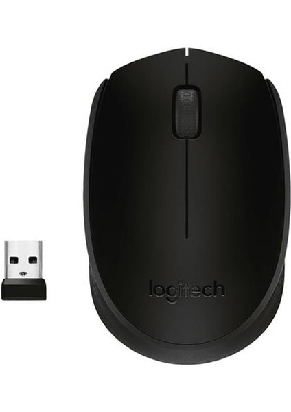 M171 Kablosuz USB Siyah Mouse