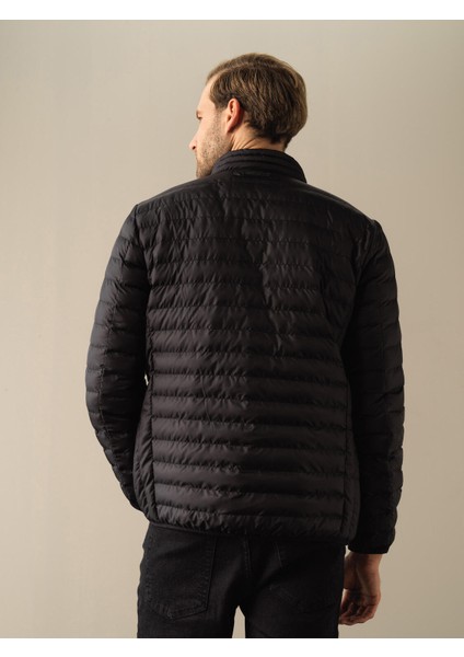 Erkek Siyah Regular Fit Şişme Mont