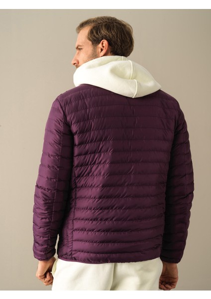 Erkek Mor Regular Fit Şişme Mont