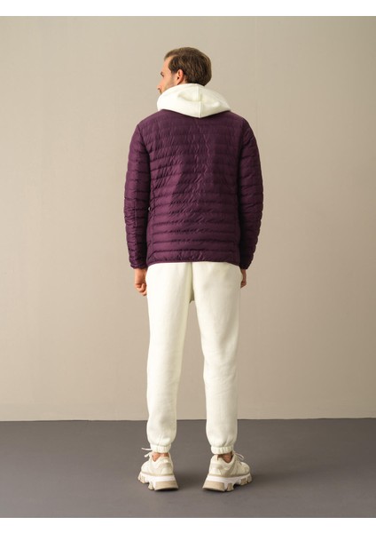 Erkek Mor Regular Fit Şişme Mont