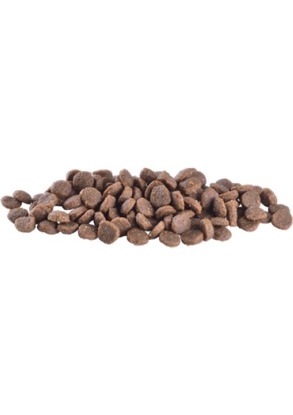 Zengezur Brit Care 7 kg Mini Irk Yavru Köpekler Için, Tahılsız, Hipoalerjenik Kuzu Etli Kuru Mama fiyatları