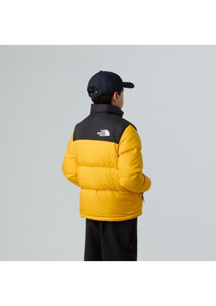 Teen 1996 Retro Nuptse Çocuk Mont fiyatları