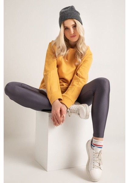 Kadın Antrasit Gri Yüksek Bel,günlük ve Sporda Kullanım Iç Göstermez Toparlayıcı Parlak Disco Tayt fırsatları