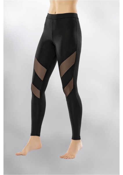 Sporcu Dalgıç Yüksek Bel Tayt