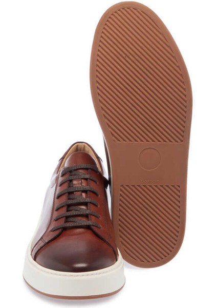Taba Hakiki Deri Erkek Sneaker - E24I1AY56720-A37