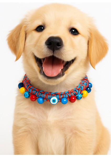 Kuçiko Çok Renkli Boncuk ve Nazarlık Detaylı Köpek Kolyesi