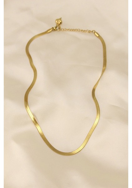 Bfs 316L Çelik Altın Renk 45 cm Italyan Zincir Model Kadın Kolye