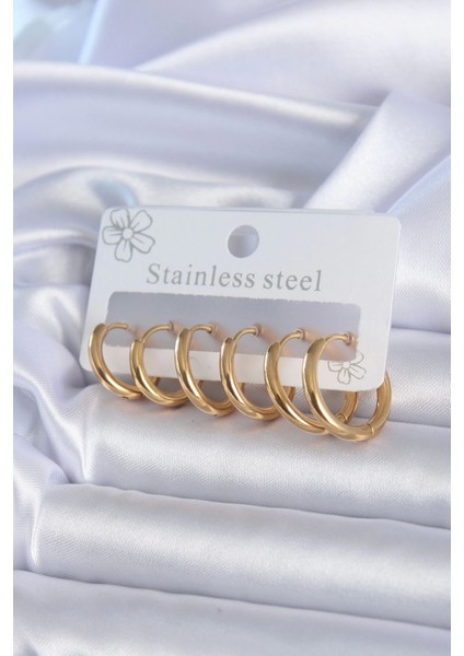 Bfs 316L Çelik Gold Renk Halka Model Kadın Küpe Seti