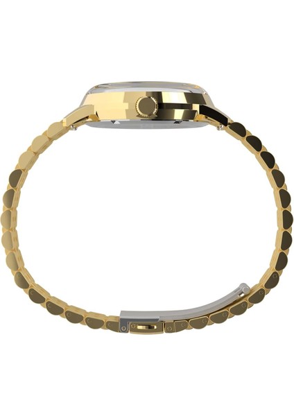 TW2Y47700 Erkek Kol Saati fiyatları