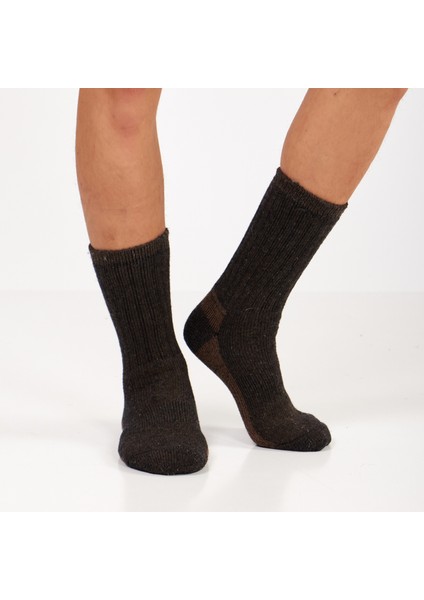 Alpaka Yünlü Tam Havlulu Kalın Termal Çorap 6005-6006 fırsatları