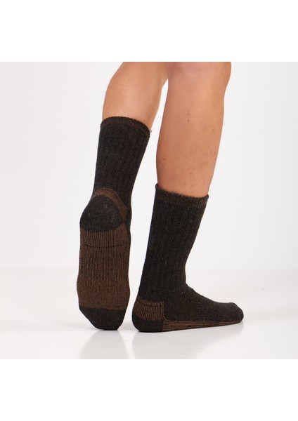 Alpaka Yünlü Tam Havlulu Kalın Termal Çorap 6005-6006 indirimleri