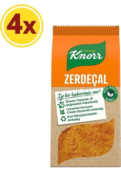 Baharat Serisi Toz Zerdeçal 60 gr x 4 Adet
