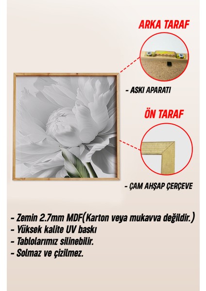 Ahşap Çerçeveli Mdf Kare Tablo Seti Salon ve Oturma Odası Için KR4005 23 x 23
