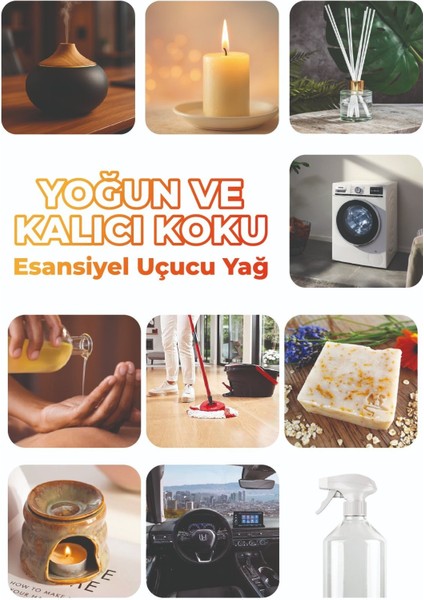 Tanışma Koleksiyon Esansiyel Uçucu Koku Yağı Buhurdanlık Yağı Difüzör Esansı 10'lu Set 10X10ML fiyatları