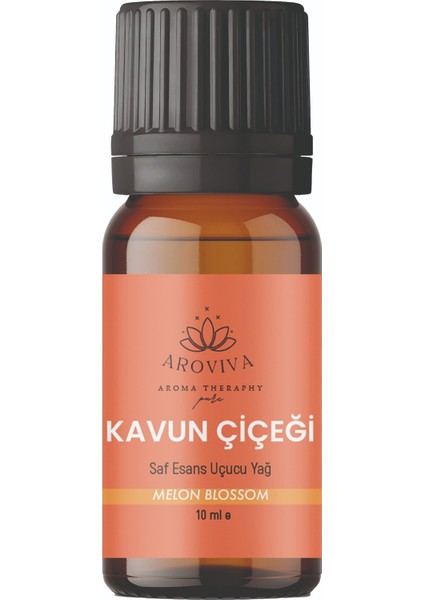 Tanışma Koleksiyon Esansiyel Uçucu Koku Yağı Buhurdanlık Yağı Difüzör Esansı 10'lu Set 10X10ML fırsatları