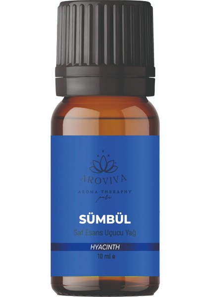 Tanışma Koleksiyon Esansiyel Uçucu Koku Yağı Buhurdanlık Yağı Difüzör Esansı 10'lu Set 10X10ML
