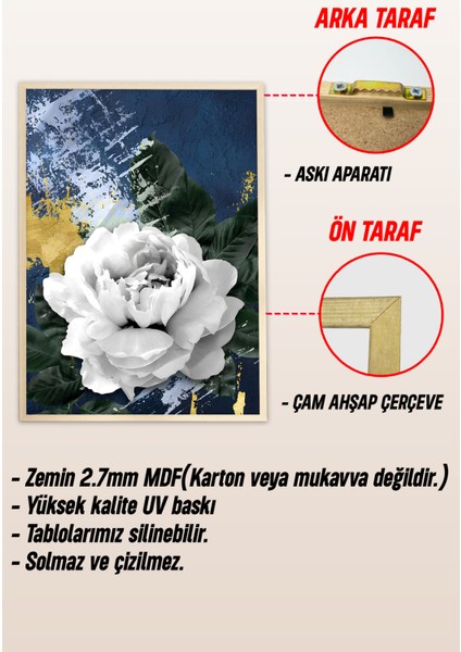 Ahşap Çerçeveli Mdf Tablo Seti Matisse, Bohem, Kusama Salon ve Oturma Odası Için ÇT3083 23 x 32