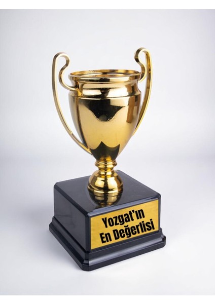Yozgat'ın En Değerlisi Yazılı Ödül Başarı Şampiyonluk Kupası 23 cm Yozgatlıya Hediye