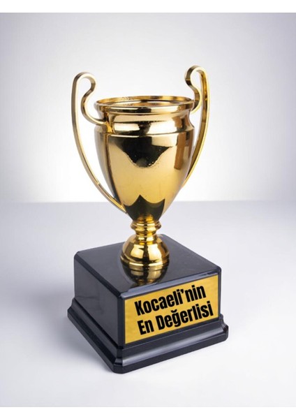 Kocaeli'nin En Değerlisi Yazılı Ödül Başarı Şampiyonluk Kupası 23 cm Kocaeliliye Hediye