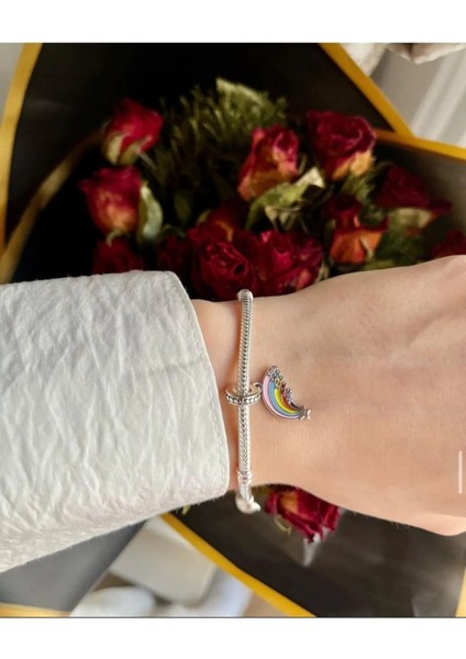 Gökkuşağı Sallantılı Gümüş Charm fiyatları