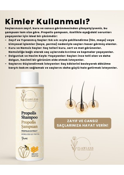 Propolis Şampuan Anadolu Propolisi Içeren Japon Formül (Tüm Saç Tipleri Için Onarıcı ve Besleyici) fırsatları