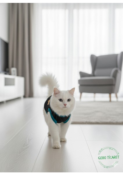 Sarı Kedi Baskılı Kışlık Siyah Kedi Köpek Kıyafeti Elbisesi