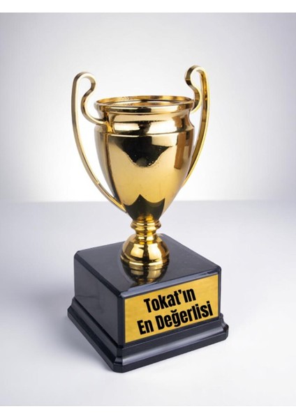 Tokat'ın En Değerlisi Yazılı Ödül Başarı Şampiyonluk Kupası 23 cm Tokatlıya Hediye