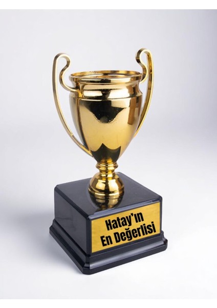 Hatay'ın En Değerlisi Yazılı Ödül Başarı Şampiyonluk Kupası 23 cm Hataylıya Hediye