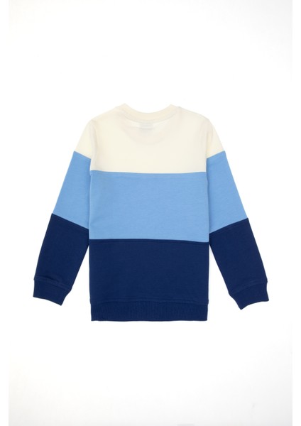 Erkek Çocuk Indigo Sweatshirt 50313977-VR028 fiyatları