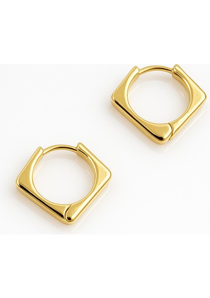 14K Gold Plated Classical Hoop Küpe