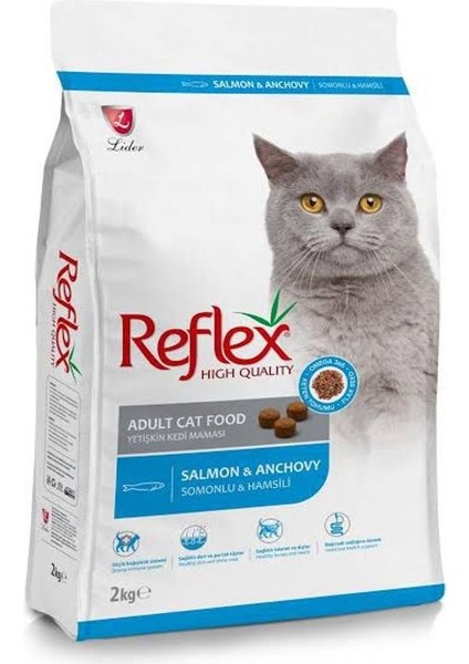 Hamsili Somonlu Yetişkin Kedi Maması 2X2KG(TOPLAM 4kg ) Avantaj Paketi fırsatları