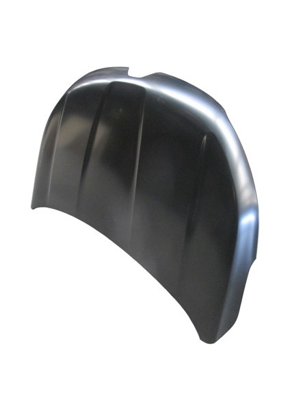 Express- 21/24; Motor Kaputu (Iceli/çekomastikli) (Tw) modelleri