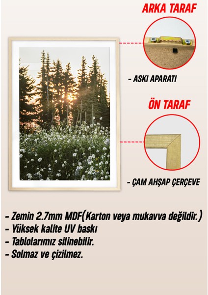 Ahşap Çerçeveli Mdf Tablo Seti Salon ve Oturma Odası Için ÇT3091 23 x 32