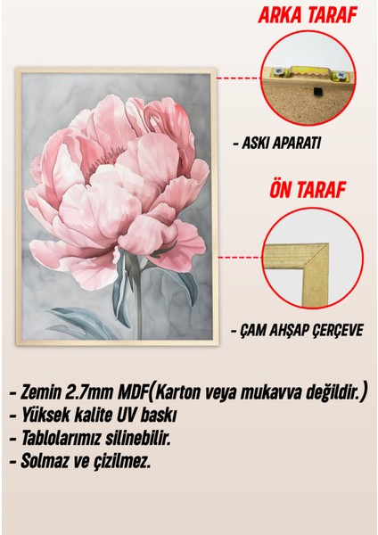 Ahşap Çerçeveli Mdf Tablo Seti Salon ve Oturma Odası Için ÇT3098 23 x 32