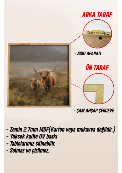 Ahşap Çerçeveli Mdf Kare Tablo Seti Salon ve Oturma Odası Için KR4010 23 x 23