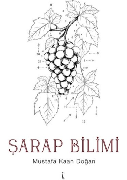 Şarap Bilimi