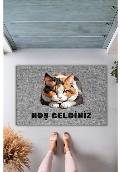 Modern Dijital Baskı Paspas - Gri Tatlı Kedi - Kapi Onu Paspasi fiyatları