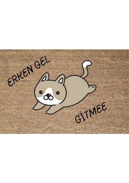 Dijital Baskı Kedicikli Renkli Desenli Kapı Önü Paspası