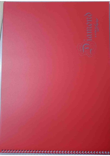 25X35 25 Yaprak Kırmızı Renk Spiralli Resim Defteri