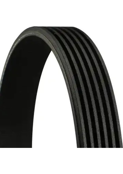 6PK850 Kayis 3416012 3446588 4403471