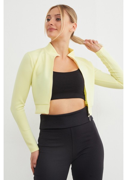 Dik Yaka Fermuarlı Dalgıç Kumaş Spor Ceket modelleri