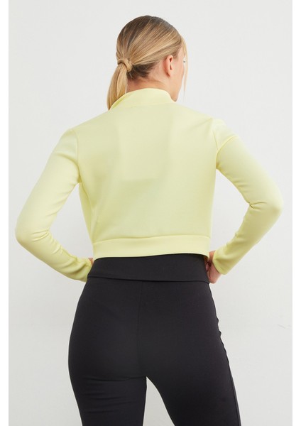 Dik Yaka Fermuarlı Dalgıç Kumaş Spor Ceket indirimleri