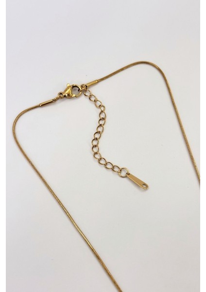 Solène No:1 Çelik Kolye fırsatları