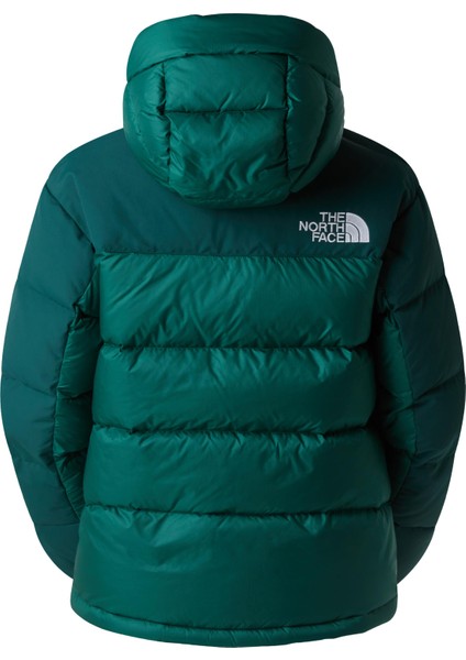 Kadın Hmlyn Kaztüyü Parka NF0A4R2WGM01 modelleri