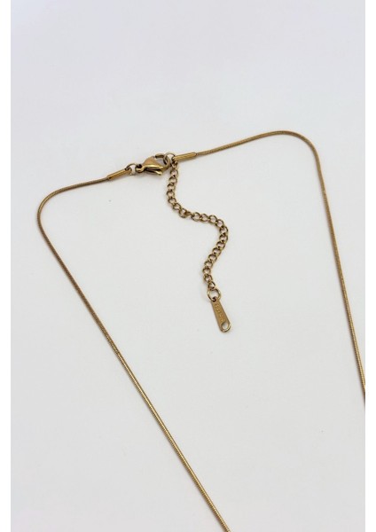 Celestia No:1 Çelik Kolye fırsatları