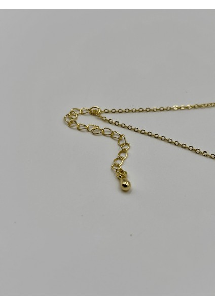 Thyra No:1 Çelik Şahmeran fırsatları